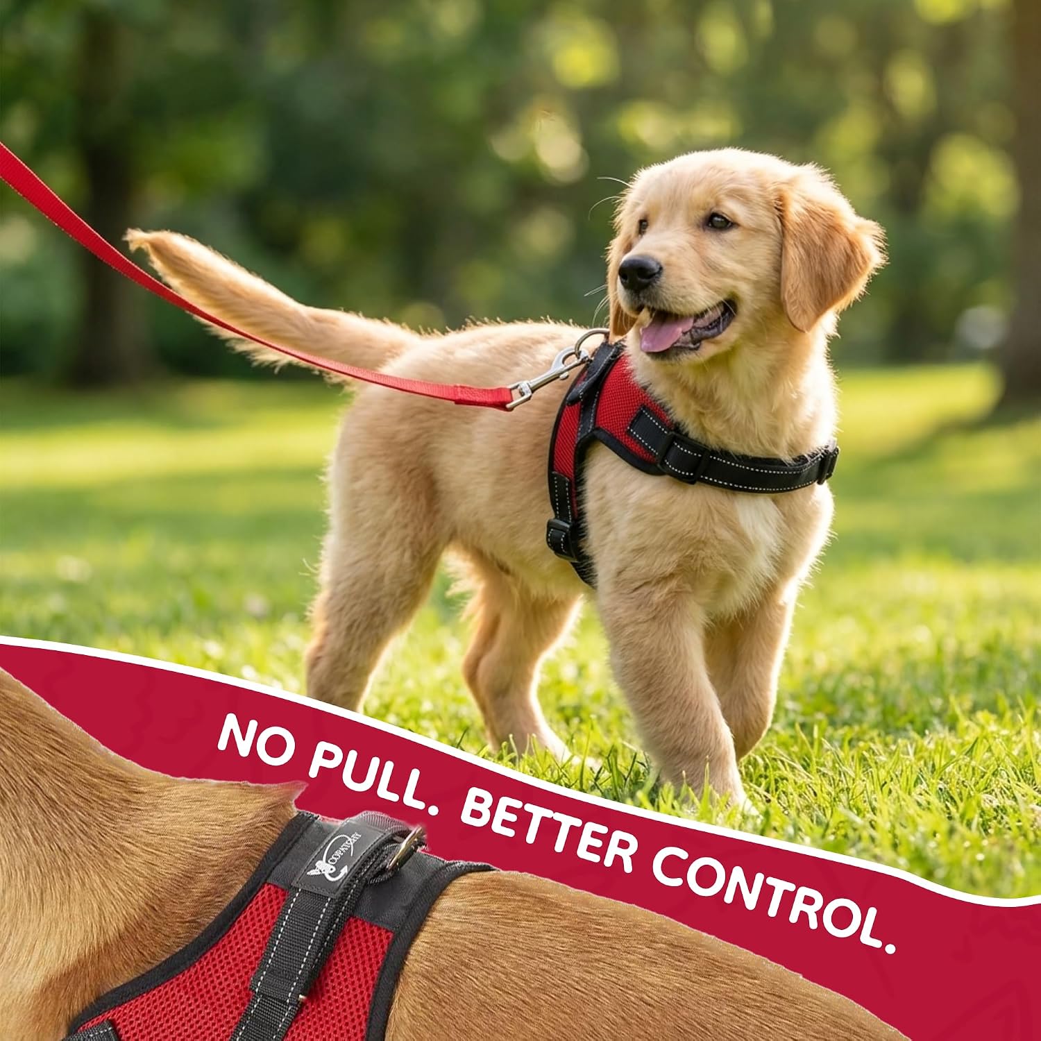 Reflective dog harness being worn by small dog