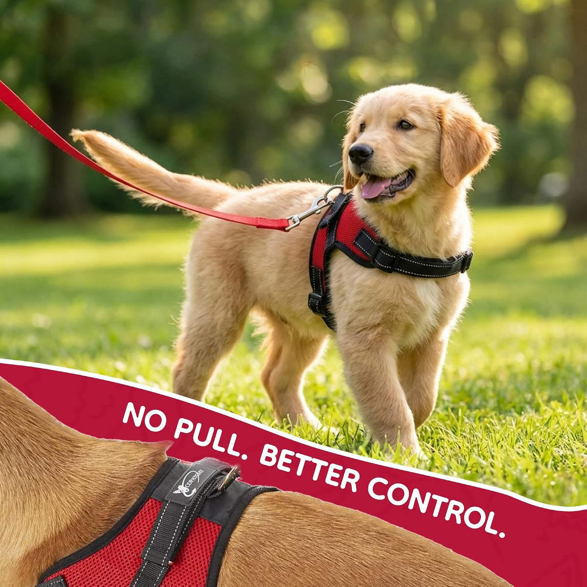 Reflective dog harness being worn by small dog