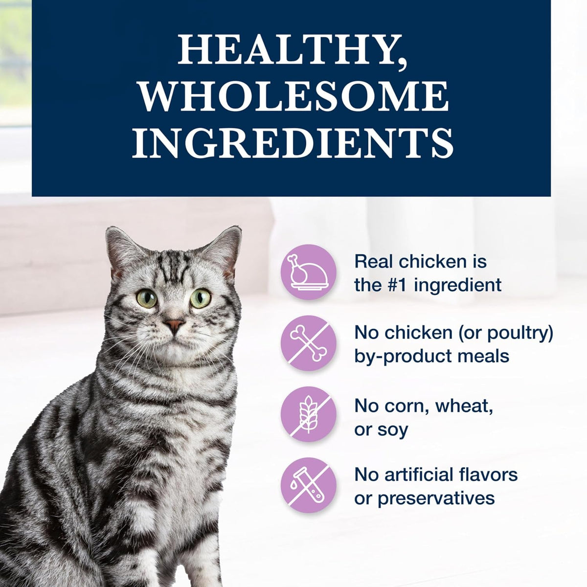 Side profile of the 6.5 pound cat food bag