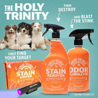 Angry Orange pet stain remover kit application on a home living room couch