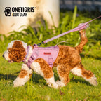 Close control traffic handle feature on the OneTigris no pull dog leash