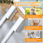 Dual pack of YBEATY white fine tooth grooming combs displayed together for cats and dogs.