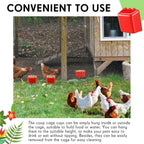 Hanging pigeon and parakeet feeder cup in vibrant red color