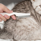 Eldraqth white plastic handle flea comb for dogs and cats