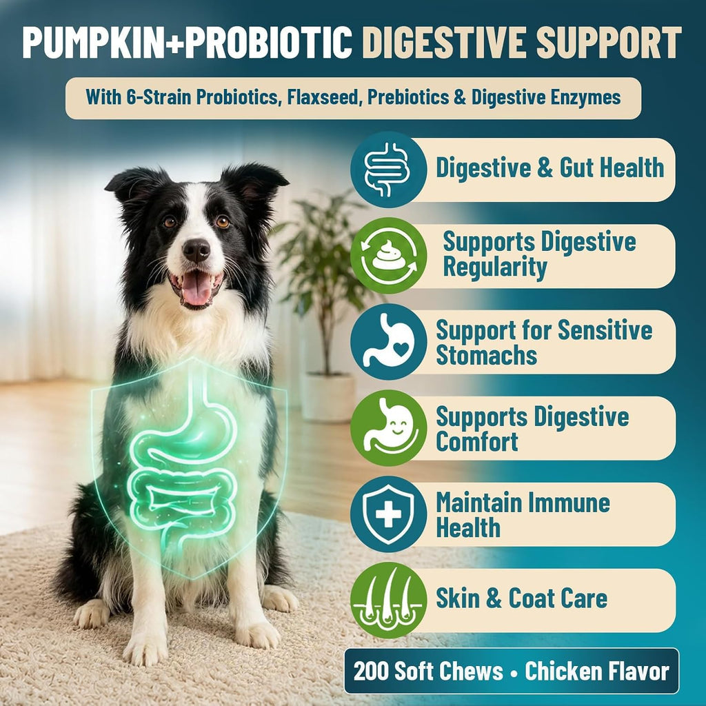 VICSOM premium imported canine gut supplement jar displaying chicken flavor label