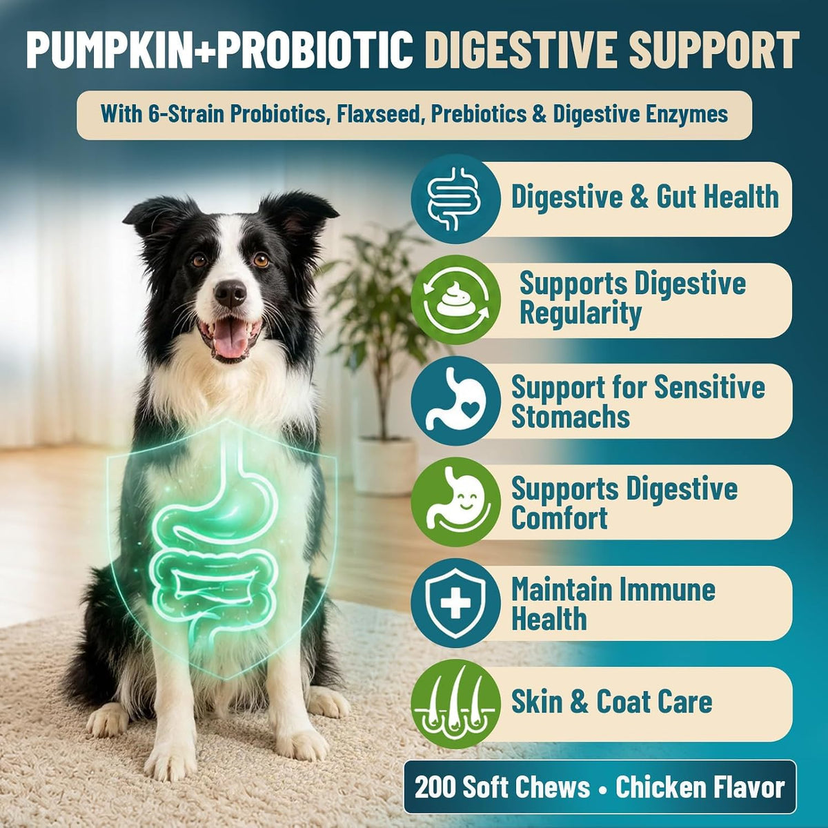 VICSOM premium imported canine gut supplement jar displaying chicken flavor label