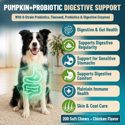 VICSOM premium imported canine gut supplement jar displaying chicken flavor label