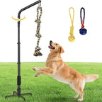 Packaging contents of the imported HVDI outdoor pet exercise kit showing all metal poles and accessories