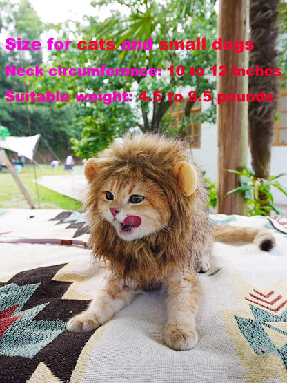Pet cat dressed as lion for holiday party