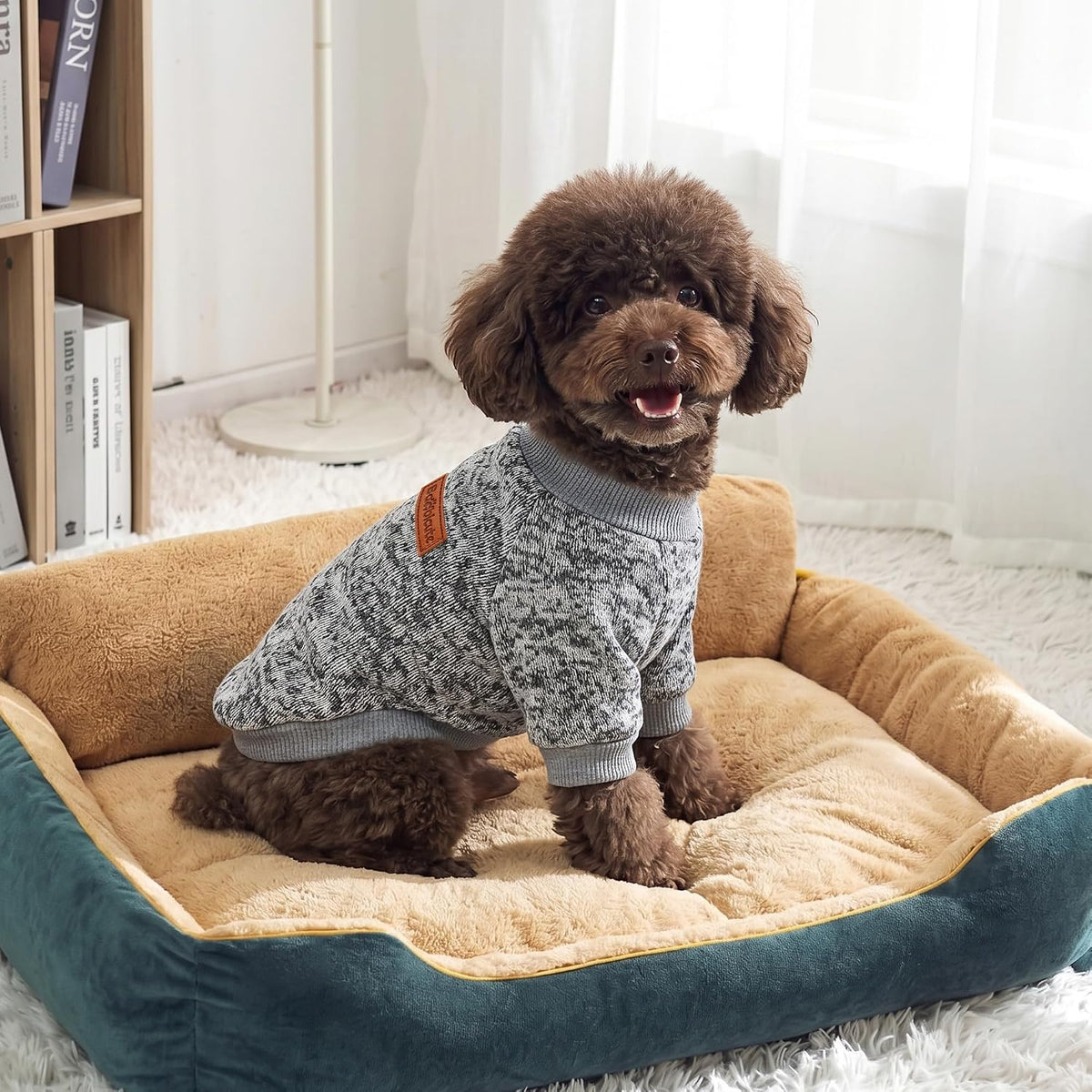 BAOBICUTE small dog winter clothes in navy blue color