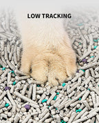 Petkit cat litter clumping demonstration in scoop