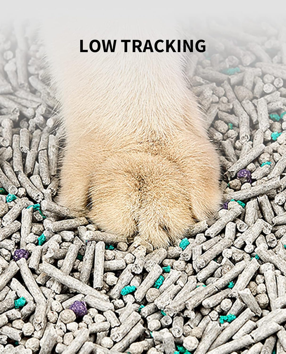 Petkit cat litter clumping demonstration in scoop