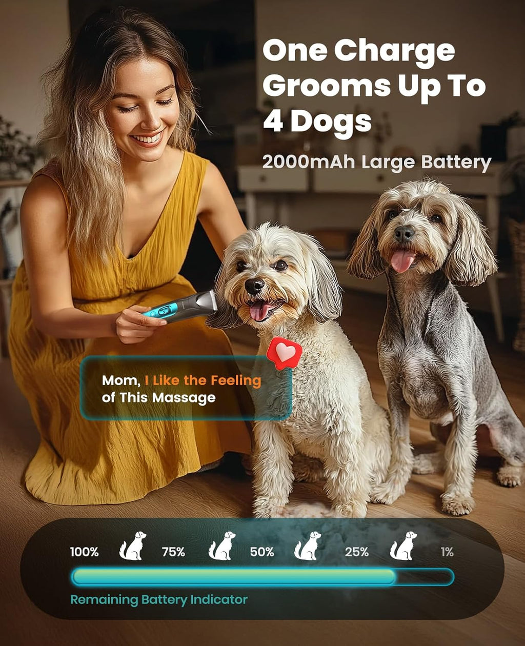Safe pet clipper kit box packaging showing all enclosed premium grooming tools.