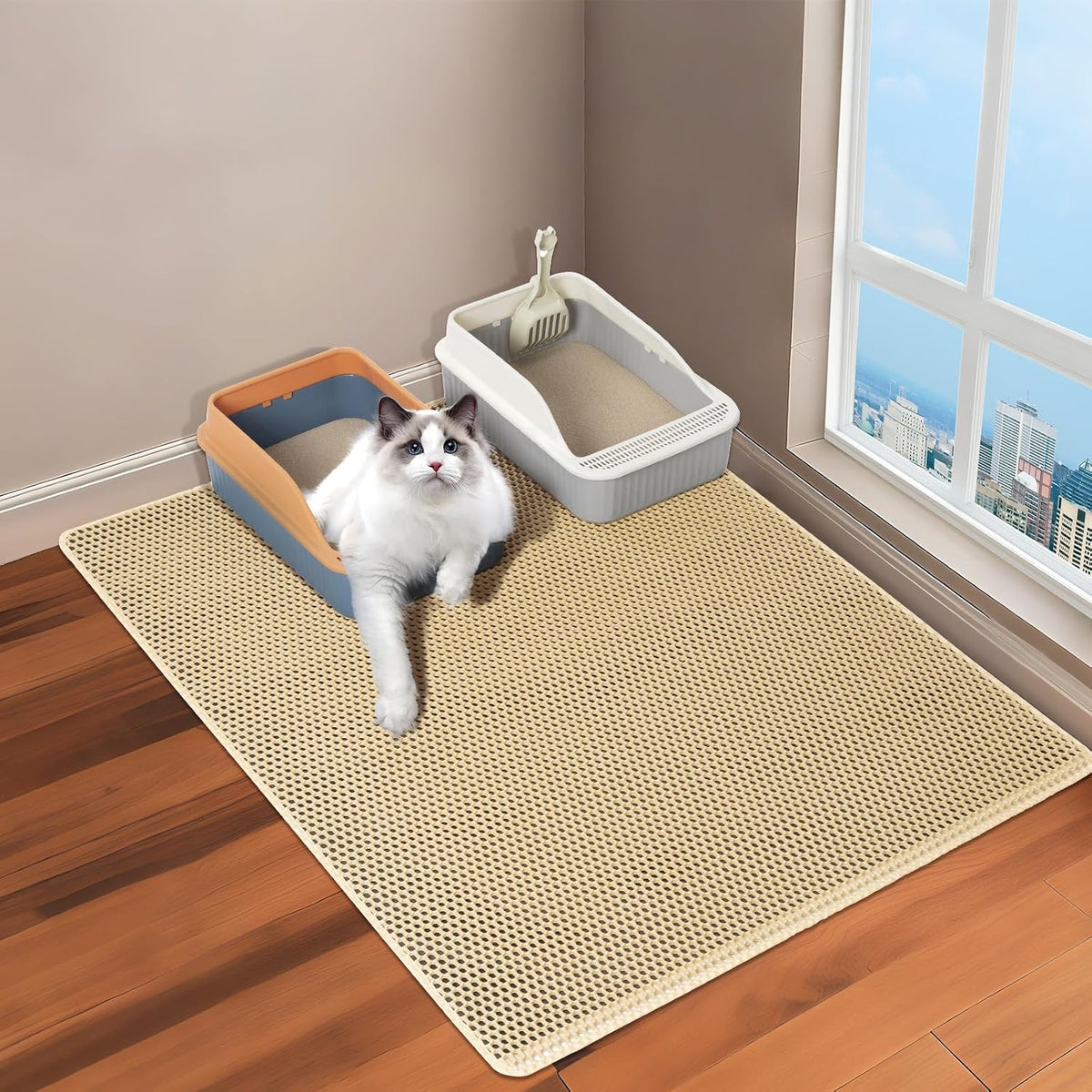Multi cat household setup with an extra large grey litterbox mat.