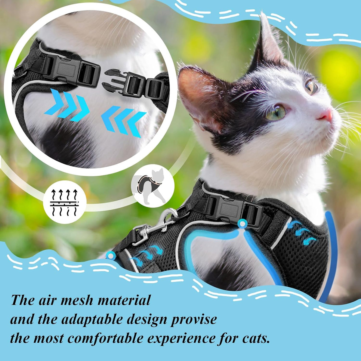 MHHYQF kitten walking harness with reflective safety strips visible on the straps.