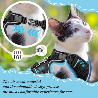 MHHYQF kitten walking harness with reflective safety strips visible on the straps.