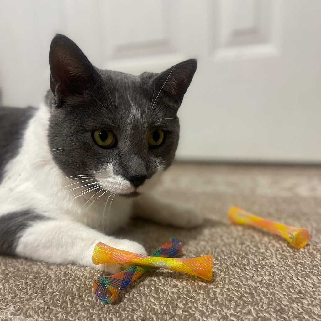 Spot Kitty Fun Tubes Cat Toy colorful mesh design close up