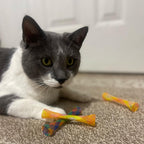 Spot Kitty Fun Tubes Cat Toy colorful mesh design close up