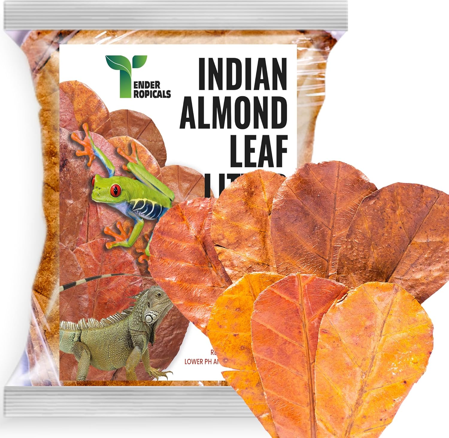 Tender Tropicals Indian Almond Catappa Leaves 100 piece pack front view
