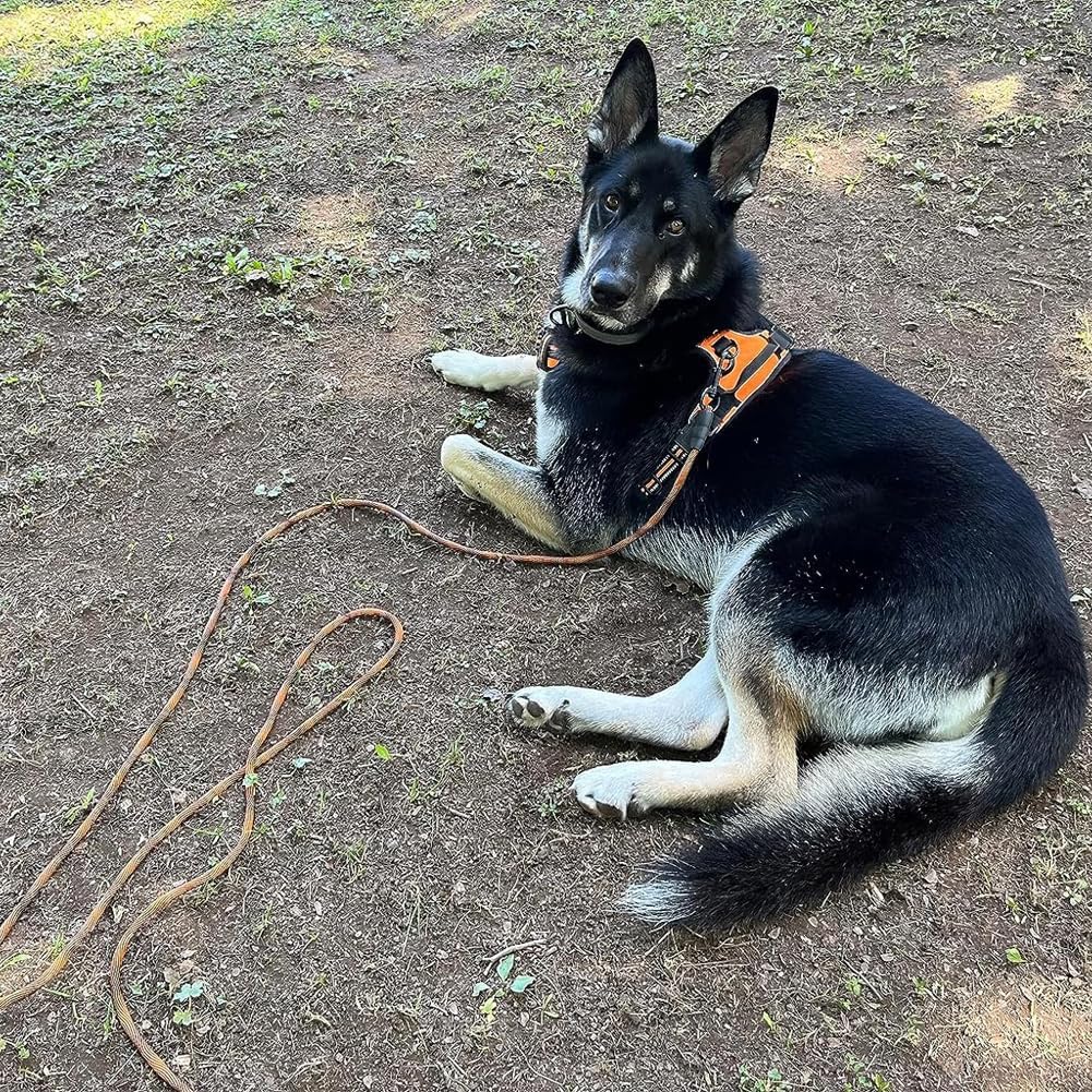 BTINESFUL Dog Tie Out, Check Cord Long Tether Rope Leash, 8ft 12ft 20ft 30ft 50ft 75ft Yard Training Dog Lead - Large Medium Small Dogs Outdoor Playing, Camping, or Backyard (12ft, Orange Black) - Image 9