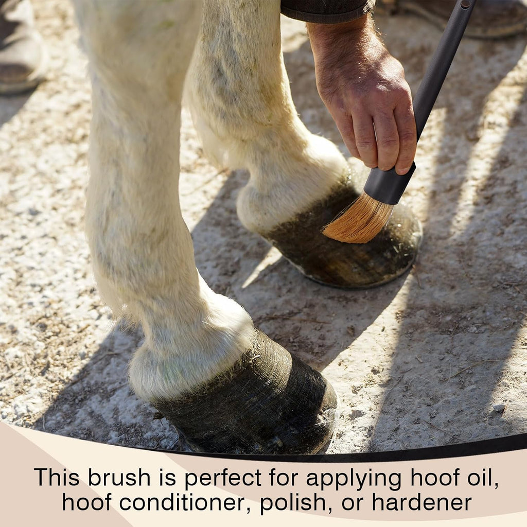 Premium USA imported horse grooming brushes for comprehensive hoof care.