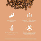 Go Solutions salmon recipe with ancient grains dry cat food nutritional information label
