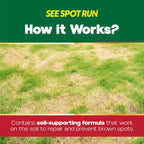 See Spot Run Lawn Protectant thirty-two fluid ounce bottle with hose-end sprayer attachment