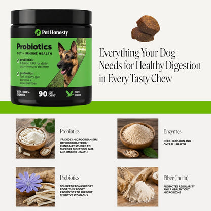 Duck flavored pet health soft chews for occasional dog diarrhea and bloating relief.