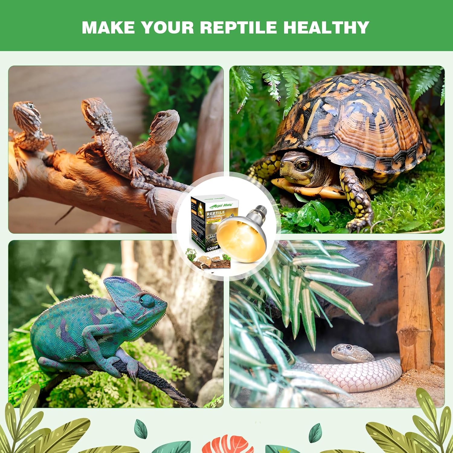 Repti Zoo high output heating light bulbs for snake and amphibian enclosures