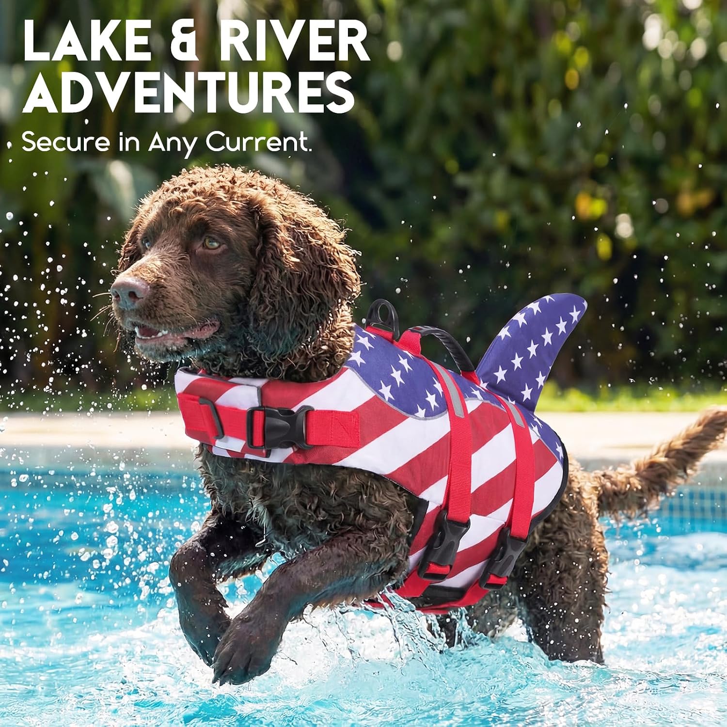ASENKU dog safety swimsuit packaging and sizing configuration
