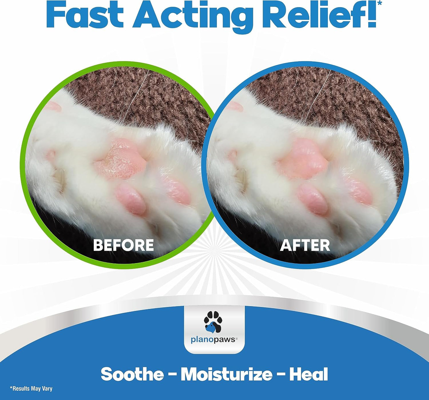 Cat receiving application of Planopaws paw moisturizer