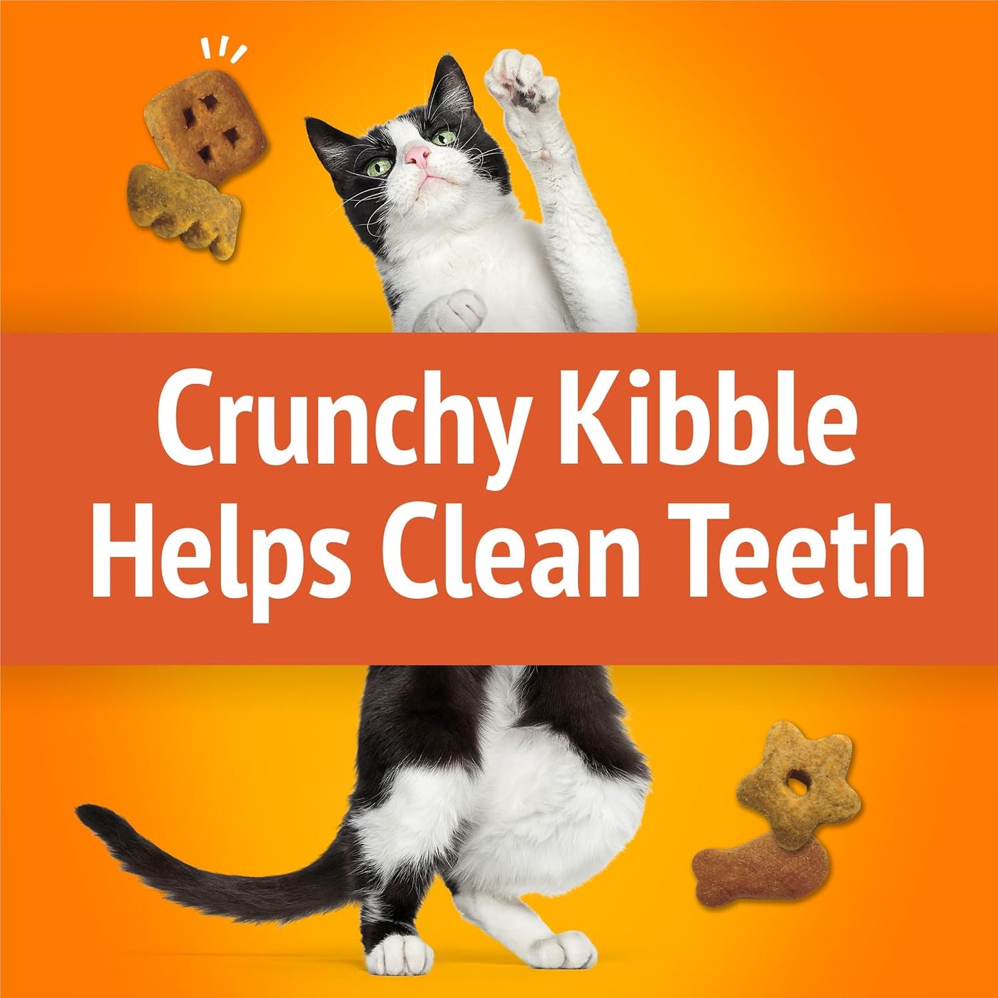 Premium imported adult cat snack pouch with real chicken seal visible
