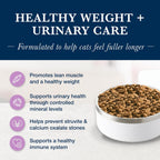 Close up of kibble texture for Blue Buffalo veterinary cat food