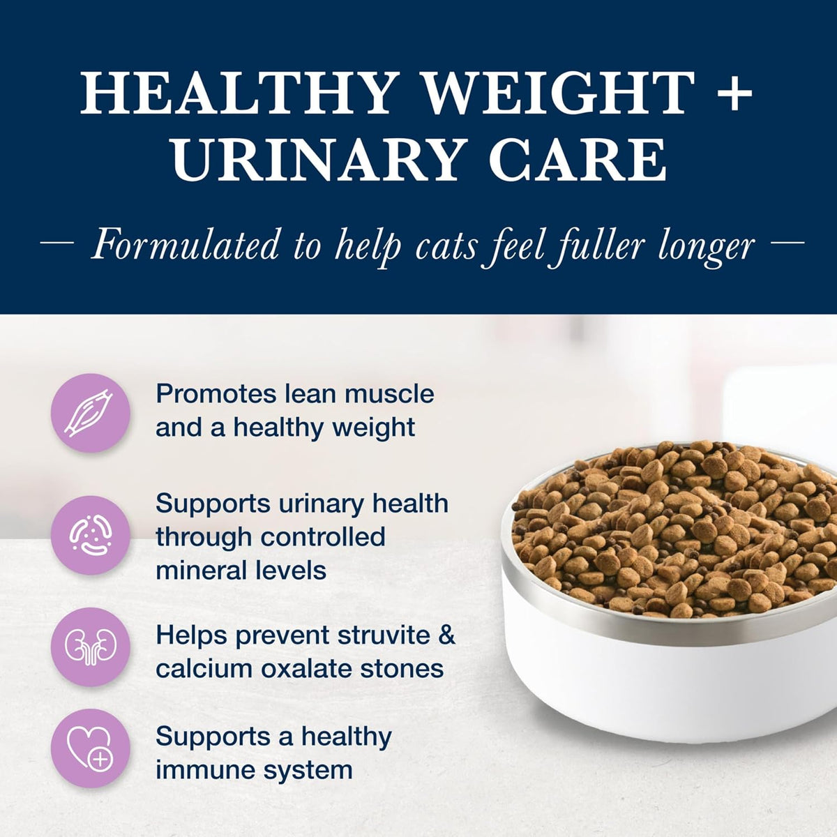 Close up of kibble texture for Blue Buffalo veterinary cat food