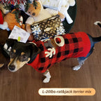 Thick cold weather pullover dog jacket in red and black pattern