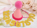 Adjustable elastic chin strap detail on pet party hat