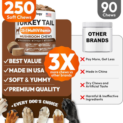 Petsology 25-in-1 dog multivitamin chews ingredient list showing Glucosamine and Reishi.