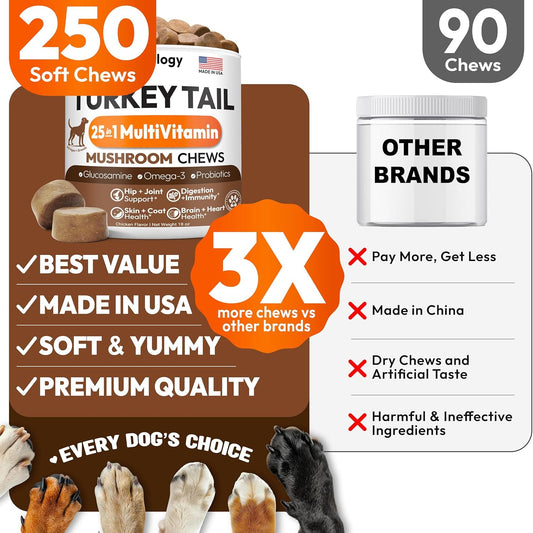 Petsology 25-in-1 dog multivitamin chews ingredient list showing Glucosamine and Reishi.