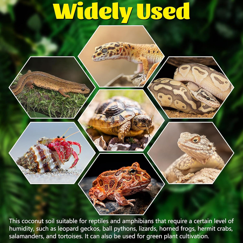 Water absorption demonstration using coarse granulated reptile vermiculite