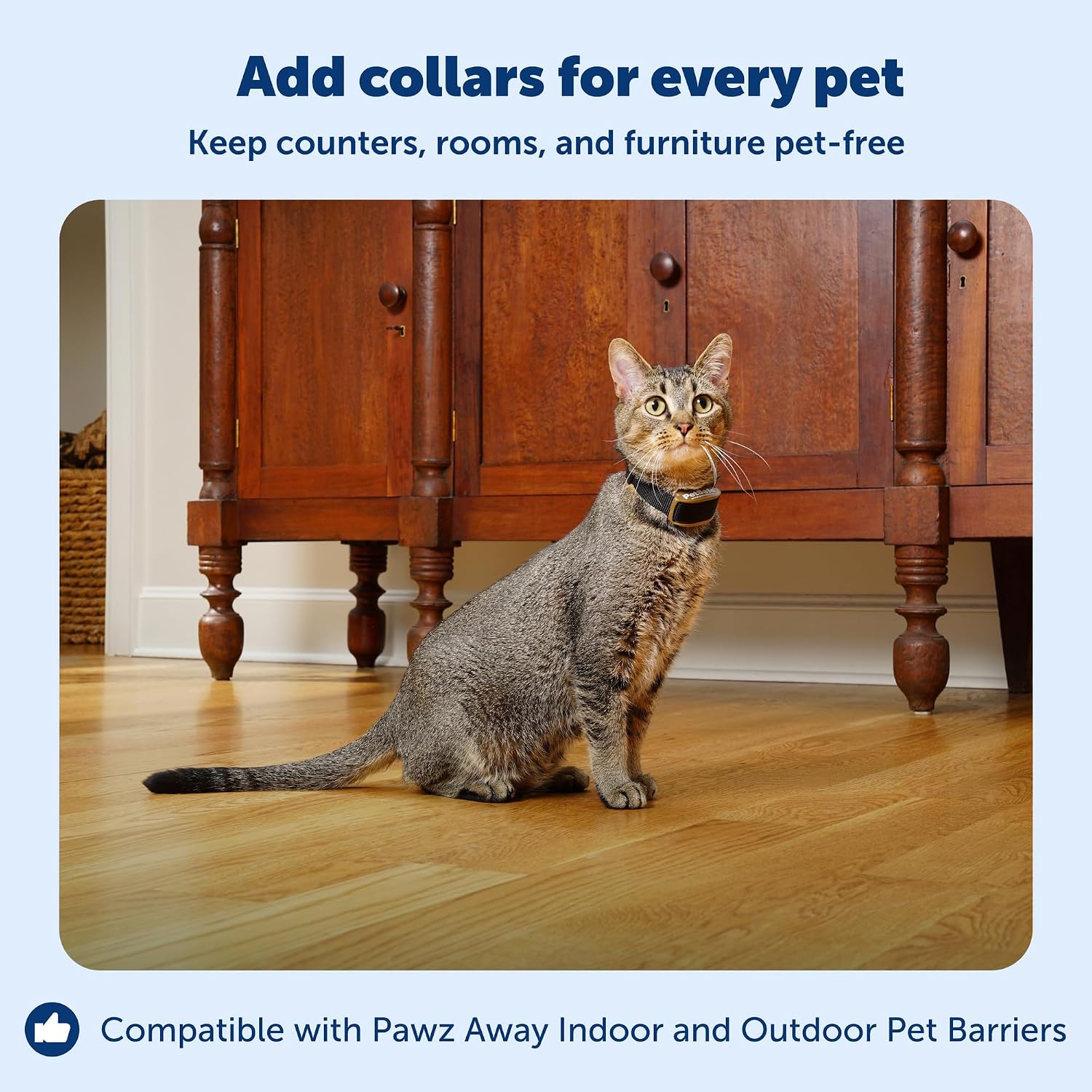 PetSafe wireless fence extra collar replacement for multi pet households close up view