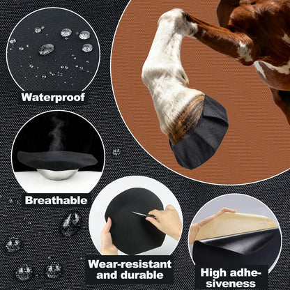 Horse hoof with protective hoof tape applied
