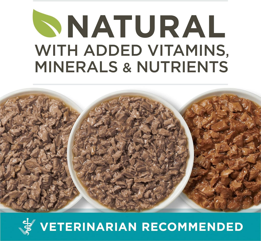 Purina One turkey recipe wet cat food close up