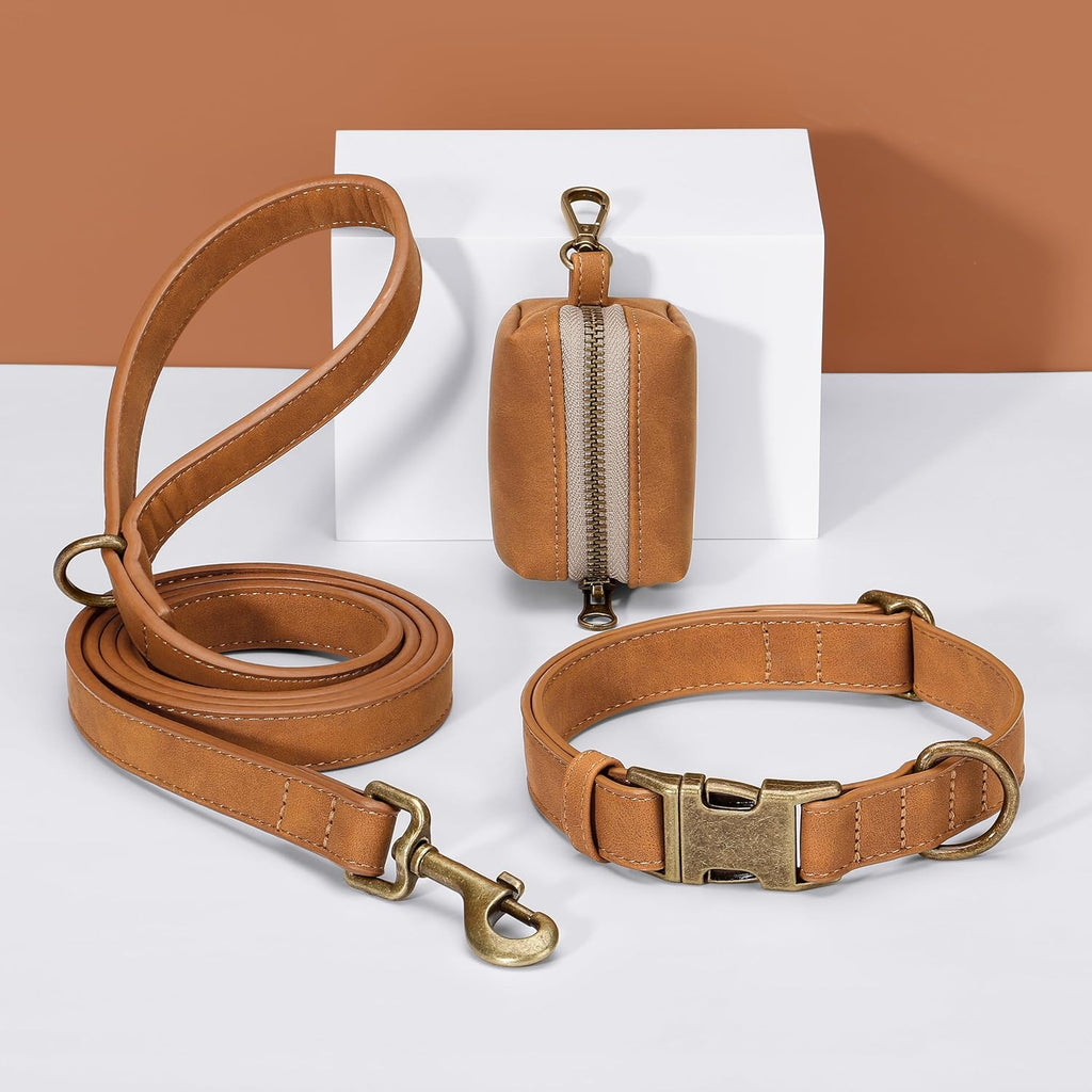 Didog pet collar worn by small dog showing fit
