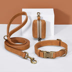 Didog pet collar worn by small dog showing fit