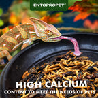 Entopropet five ounce reptile treat container label detail