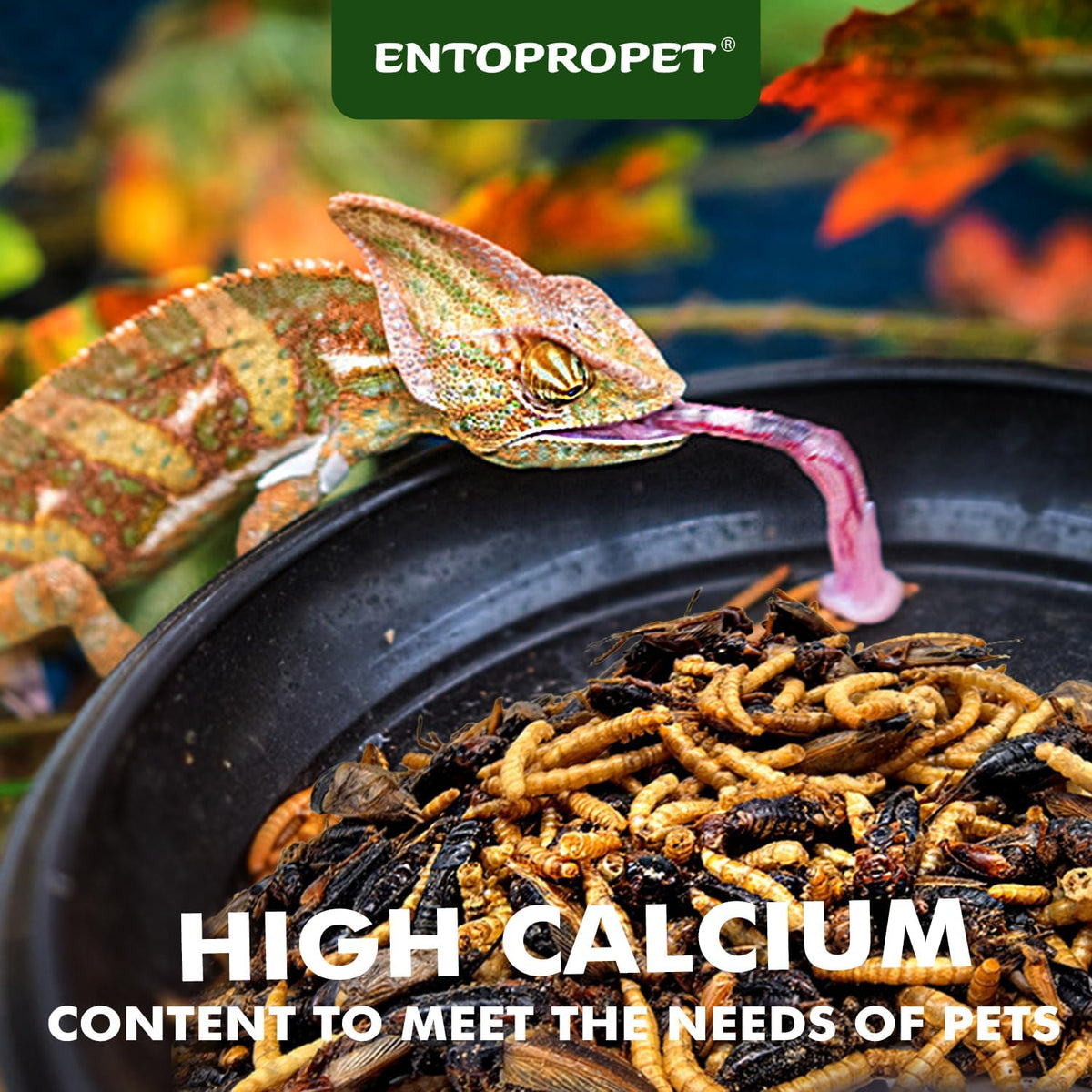 Entopropet five ounce reptile treat container label detail