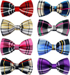 PET SHOW lightweight detachable puppy collar charms lifestyle view
