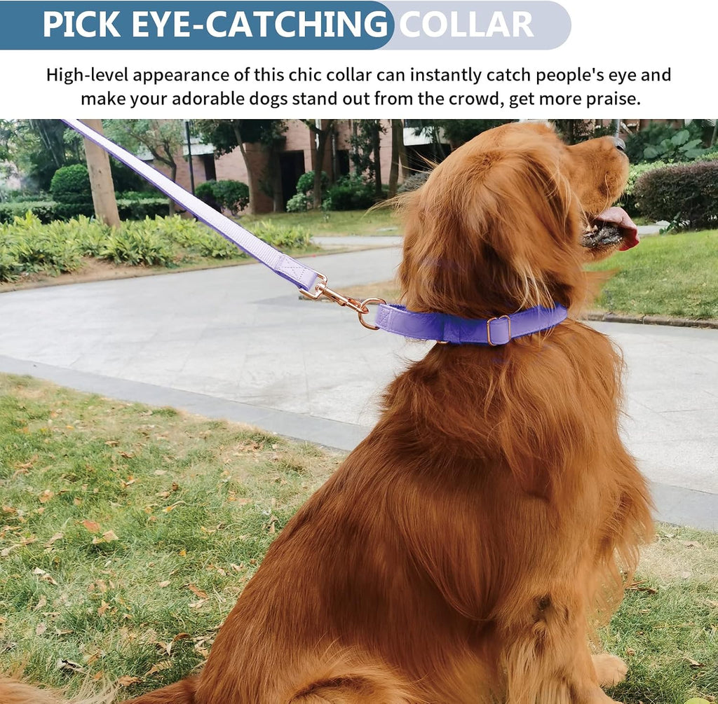 AaufiLux easy to clean durable escape proof martingale collar