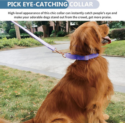 AaufiLux easy to clean durable escape proof martingale collar