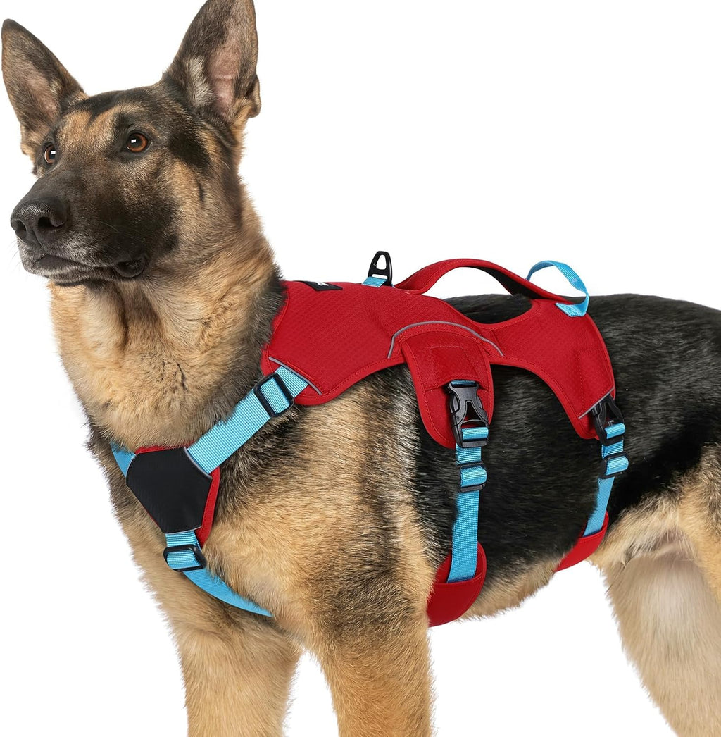 rabbitgoo Escape Proof Dog Harness, Soft Padded Full Body Pet Harness, Reflective Adjustable No Pull Vest with Lift Handle and Leash Clip for Large Dogs Walking Hiking Training, L, Black - Image 13